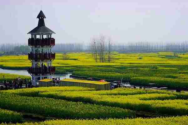 江苏“被低估”的宝藏县城，人文景点丰富，还有千亩油菜花海