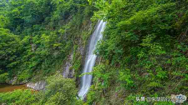 六安天堂寨大小不一的百道飞瀑，滋养着“华东最后一片原始森林”